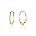 Gold earrings, smooth, smaller oval