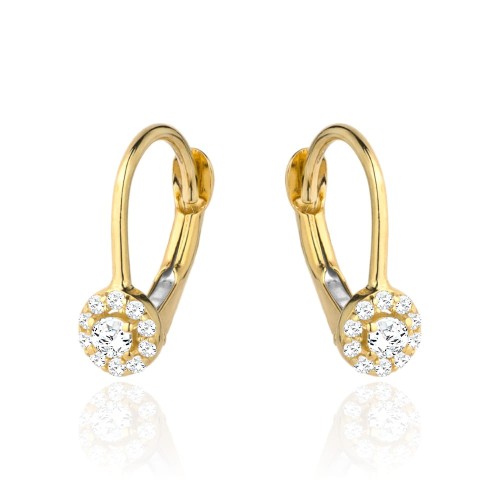 Kolczyki kwiatek z cyrkonii w złotym kole